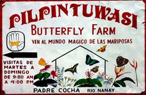 Pilpintuwasi Butterfly Farm.
